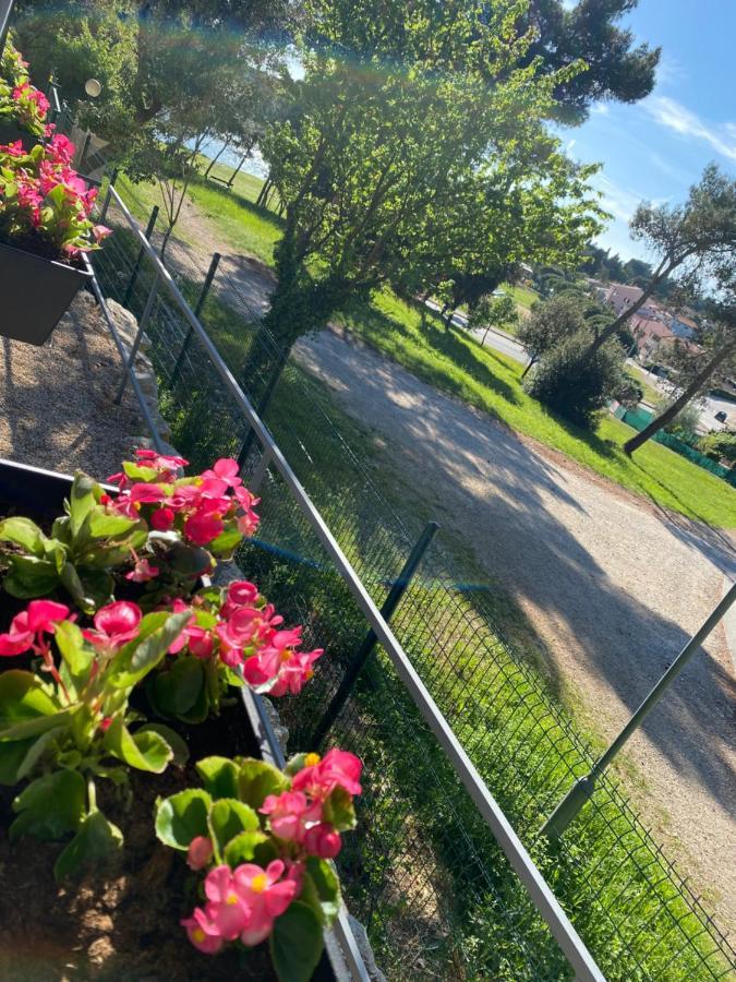 Mobile Home Biondina Camp Porton Nature Hideouts ロヴィニ エクステリア 写真