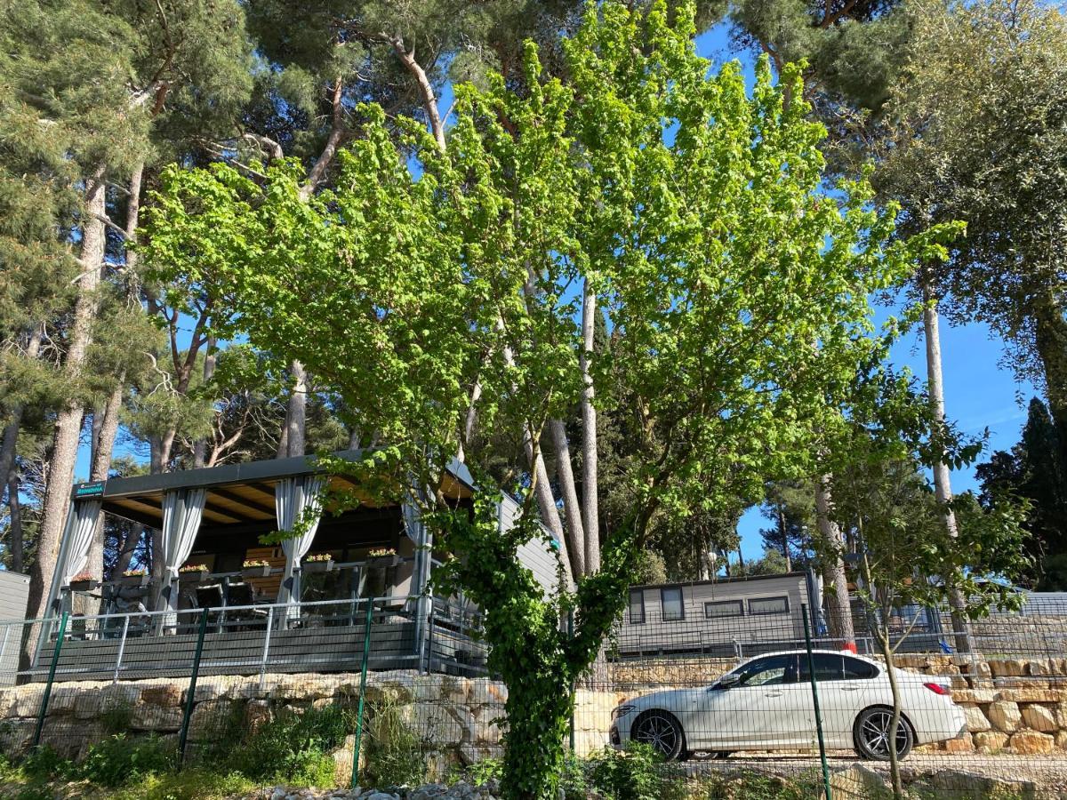 Mobile Home Biondina Camp Porton Nature Hideouts ロヴィニ エクステリア 写真